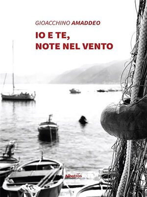 cover image of Io e te, note nel vento